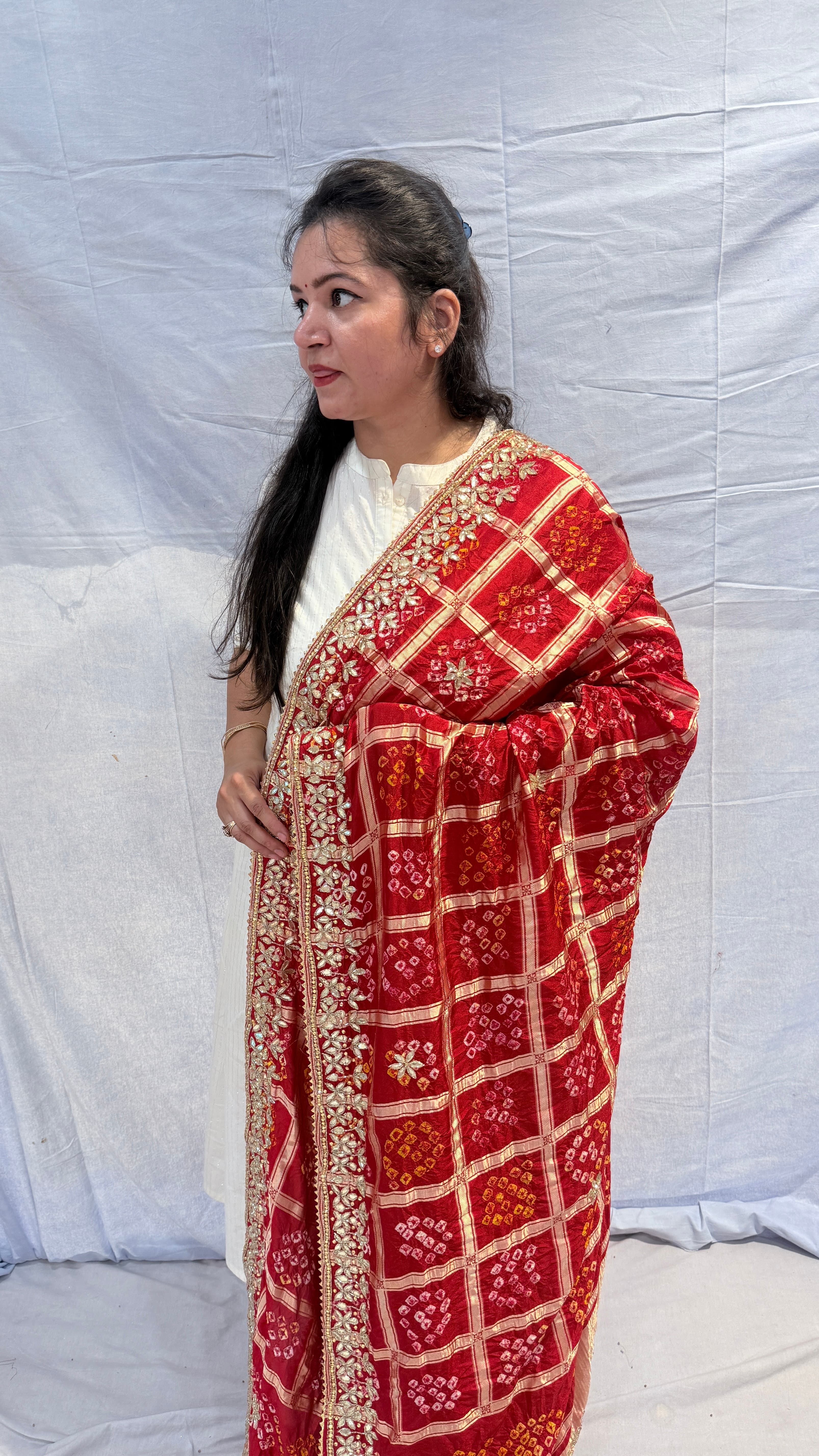 Handcrafted Gota Patti Malai Silk Dupatta